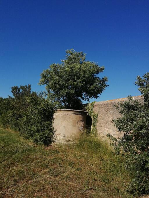 Le Soleil D Eugenie Appartement Dans Residence Avec Piscine Commune Pres De Carcassonne Olonzac Exteriér fotografie