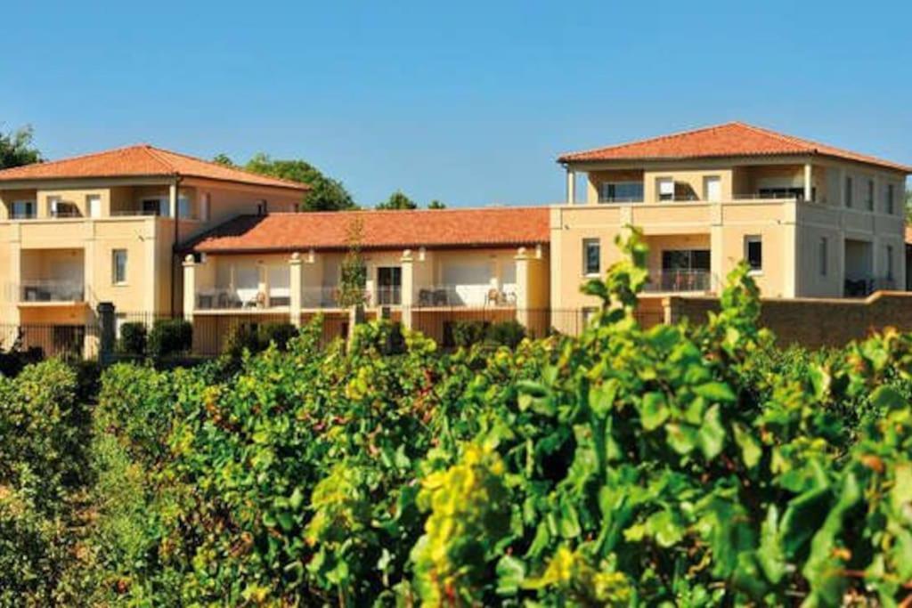 Le Soleil D Eugenie Appartement Dans Residence Avec Piscine Commune Pres De Carcassonne Olonzac Exteriér fotografie
