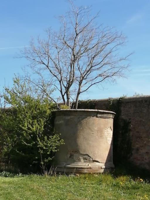 Le Soleil D Eugenie Appartement Dans Residence Avec Piscine Commune Pres De Carcassonne Olonzac Exteriér fotografie