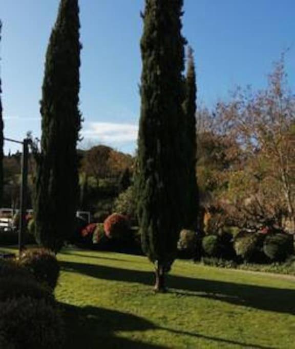 Le Soleil D Eugenie Appartement Dans Residence Avec Piscine Commune Pres De Carcassonne Olonzac Exteriér fotografie