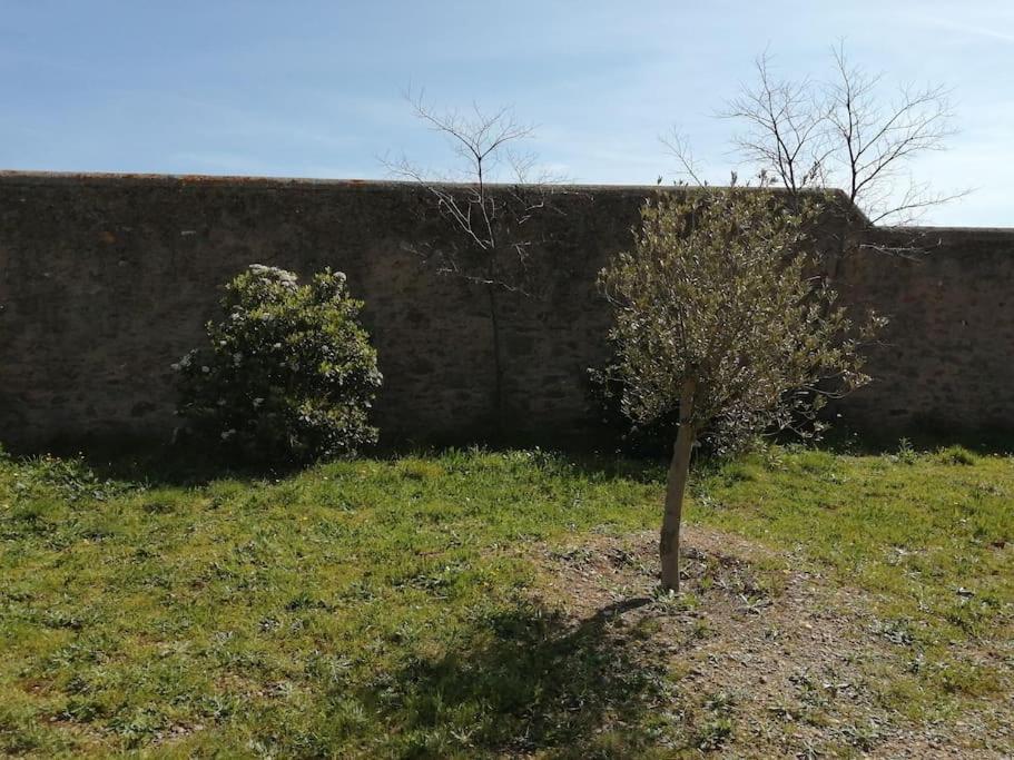 Le Soleil D Eugenie Appartement Dans Residence Avec Piscine Commune Pres De Carcassonne Olonzac Exteriér fotografie